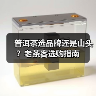 普洱茶选品牌还是山头？老茶客选购指南（图4）