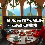 普洱茶选品牌还是山头？老茶客选购指南（图3）