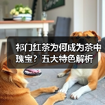 祁门红茶为何成为茶中瑰宝？五大特色解析（图3）