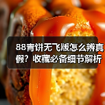 88青饼无飞版怎么辨真假？收藏必备细节解析（图4）