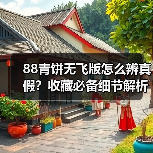88青饼无飞版怎么辨真假？收藏必备细节解析（图3）