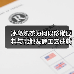 冰岛熟茶为何以珍稀原料与离地发酵工艺成就醇厚陈香？（图1）