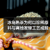 冰岛熟茶为何以珍稀原料与离地发酵工艺成就醇厚陈香？（图4）