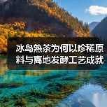 冰岛熟茶为何以珍稀原料与离地发酵工艺成就醇厚陈香？（图3）