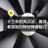 十三年时光沉淀，普洱老茶如何释放醇香魅力？（图1）