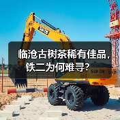 临沧古树茶稀有佳品，铁二为何难寻？（图4）