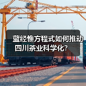 蓝经惟方程式如何推动四川茶业科学化？（图1）