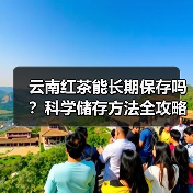 云南红茶能长期保存吗？科学储存方法全攻略（图2）