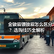 金骏眉银骏眉怎么区分？选购技巧全解析（图4）
