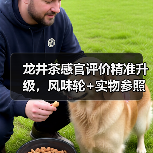 龙井茶感官评价精准升级，风味轮+实物参照如何实现？（图2）