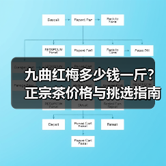 九曲红梅多少钱一斤？正宗茶价格与挑选指南（图3）