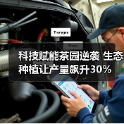 科技赋能茶园逆袭 生态种植让产量飙升30%（图2）