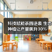 科技赋能茶园逆袭 生态种植让产量飙升30%（图4）