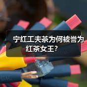宁红工夫茶为何被誉为红茶女王？（图4）