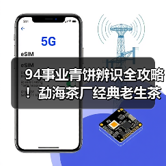 94事业青饼辨识全攻略！勐海茶厂经典老生茶五大特征解析（图1）