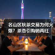 名山区秋茶交易为何火爆？茶香引购销两旺（图1）