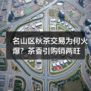 名山区秋茶交易为何火爆？茶香引购销两旺（图2）