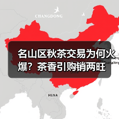 名山区秋茶交易为何火爆？茶香引购销两旺（图4）
