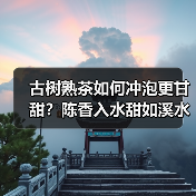 古树熟茶如何冲泡更甘甜？陈香入水甜如溪水（图2）