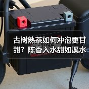 古树熟茶如何冲泡更甘甜？陈香入水甜如溪水（图3）