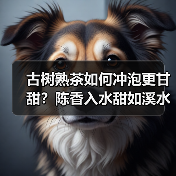 古树熟茶如何冲泡更甘甜？陈香入水甜如溪水（图4）