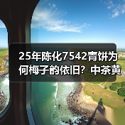 25年陈化7542青饼为何梅子韵依旧？中茶黄印经典品鉴（图1）