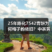 25年陈化7542青饼为何梅子韵依旧？中茶黄印经典品鉴（图3）