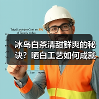 冰岛白茶清甜鲜爽的秘诀？晒白工艺如何成就茶中黄金（图3）