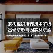 茶树组织培养技术解析 富硒茶影响因素及茶酒加工工艺全解读（图1）
