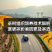 茶树组织培养技术解析 富硒茶影响因素及茶酒加工工艺全解读（图4）