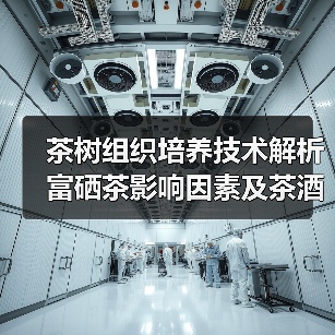 茶树组织培养技术解析 富硒茶影响因素及茶酒加工工艺全解读（图3）