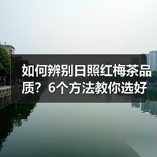 如何辨别日照红梅茶品质？6个方法教你选好茶（图1）