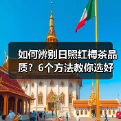 如何辨别日照红梅茶品质？6个方法教你选好茶（图3）