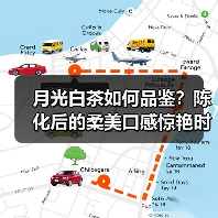 月光白茶如何品鉴？陈化后的柔美口感惊艳时光（图2）