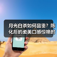 月光白茶如何品鉴？陈化后的柔美口感惊艳时光（图4）