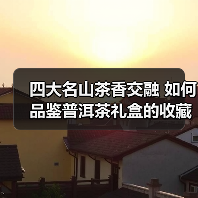 四大名山茶香交融 如何品鉴普洱茶礼盒的收藏价值（图4）