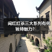 闽红红茶三大系列有何独特魅力？（图4）