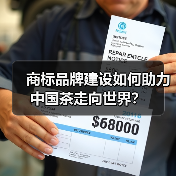 商标品牌建设如何助力中国茶走向世界？（图1）