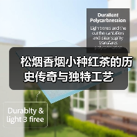 松烟香烟小种红茶的历史传奇与独特工艺（图3）