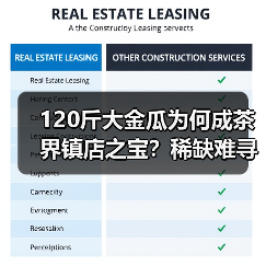 120斤大金瓜为何成茶界镇店之宝？稀缺难寻的神秘原因（图4）