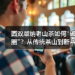西双版纳老山茶如何