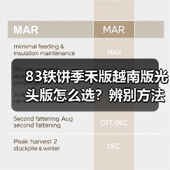 83铁饼季禾版越南版光头版怎么选？辨别方法全解析（图1）