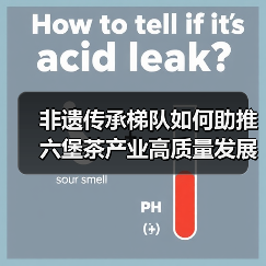 非遗传承梯队如何助推六堡茶产业高质量发展？（图4）