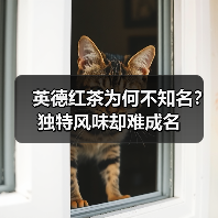 英德红茶为何不知名？独特风味却难成名（图1）