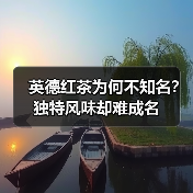 英德红茶为何不知名？独特风味却难成名（图4）
