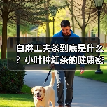 白琳工夫茶到底是什么？小叶种红茶的健康密码（图1）