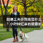 白琳工夫茶到底是什么？小叶种红茶的健康密码（图4）
