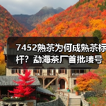 7452熟茶为何成熟茶标杆？勐海茶厂首批唛号揭秘（图4）