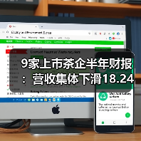 9家上市茶企半年财报：营收集体下滑18.24%，头部品牌也难逃困局（图4）