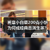班章小白菜200克小饼为何成经典普洱生茶？（图1）